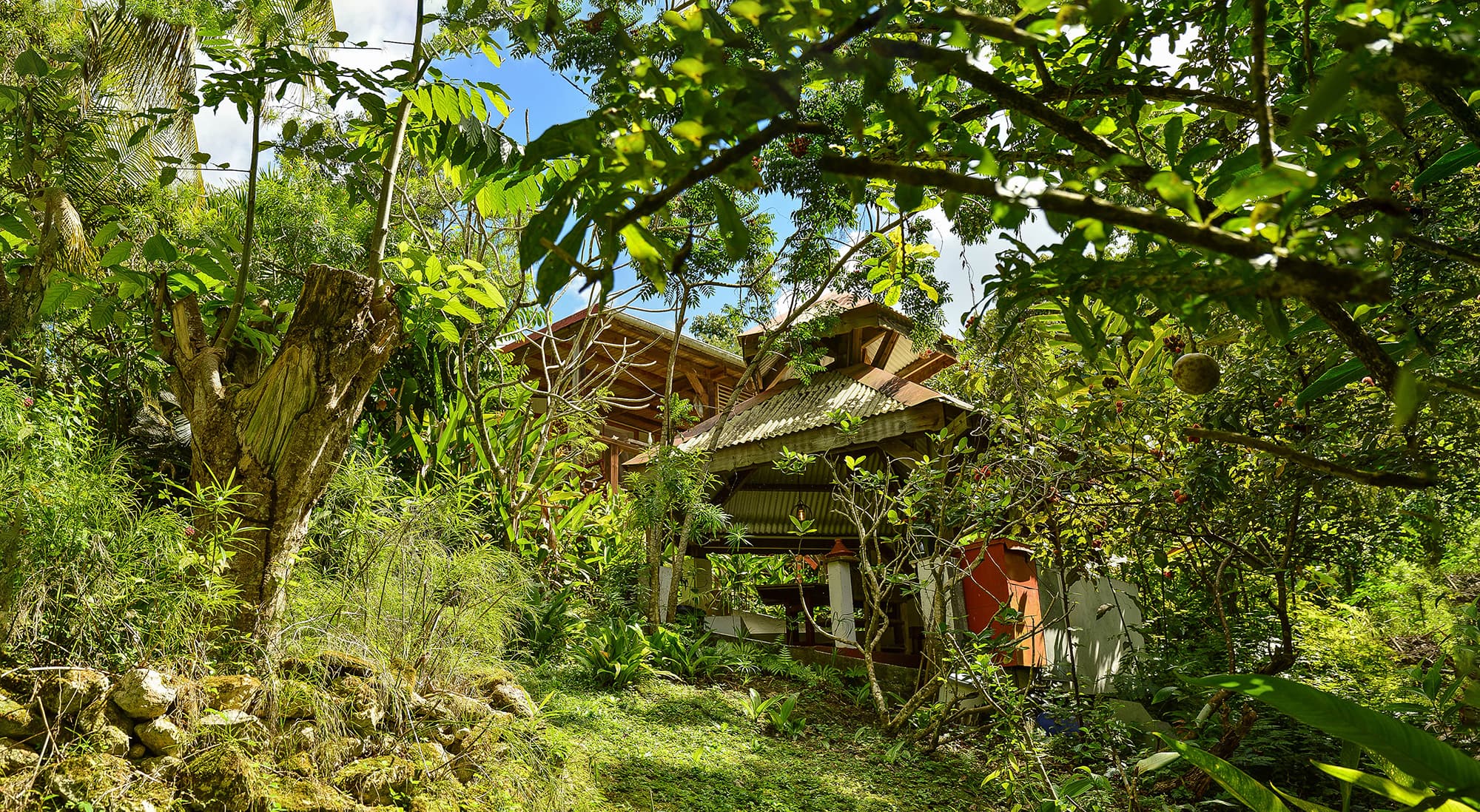 Jardin des Foufous — location Cabane à Grand-Bourg, Marie-Galante