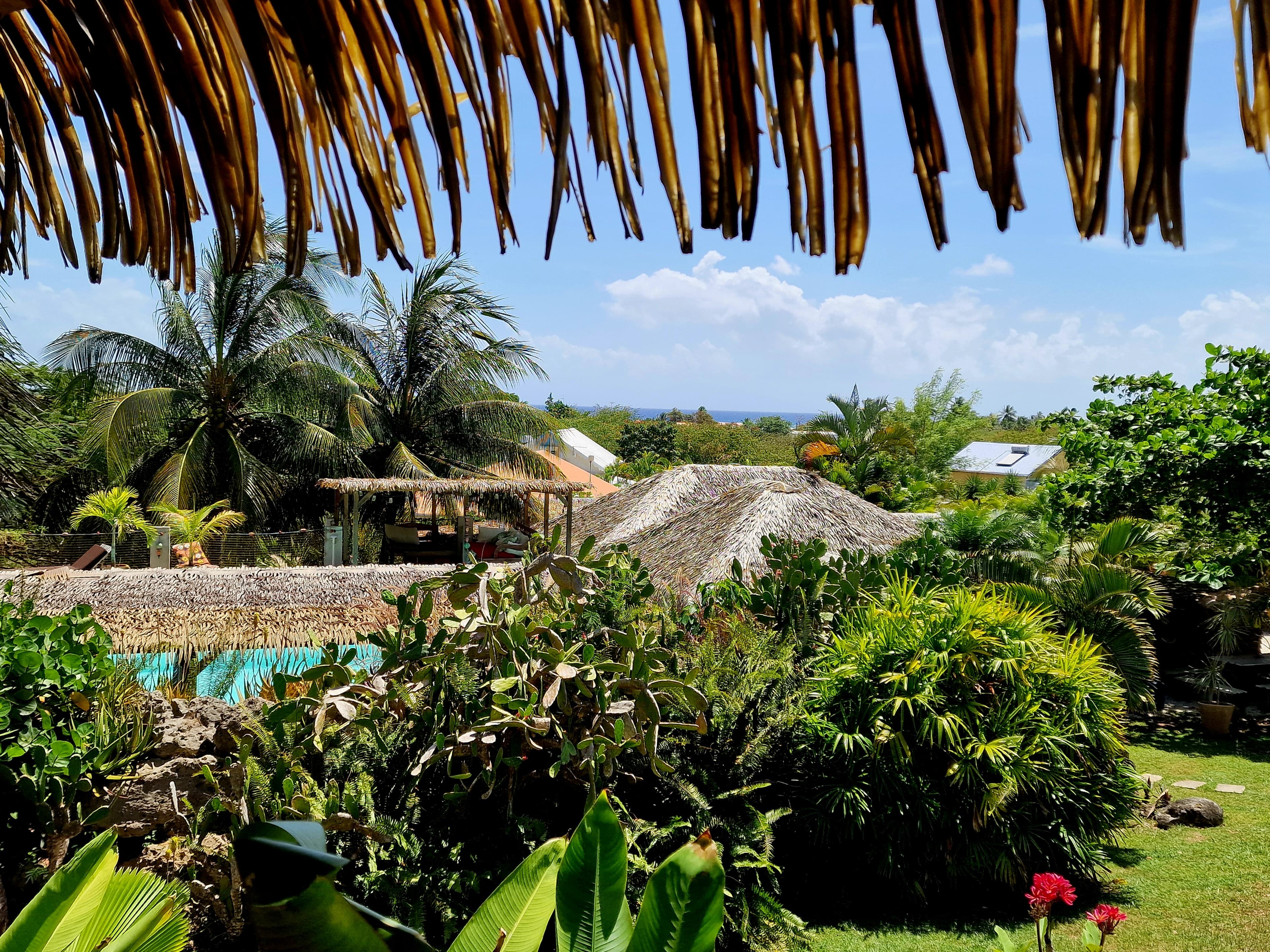 Un hébergement nature de la collection Bungalows & écolodges à Marie-Galante