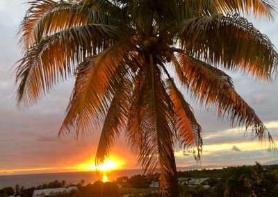 Gite Passiflora vue mer vue lagune sunset cocotier